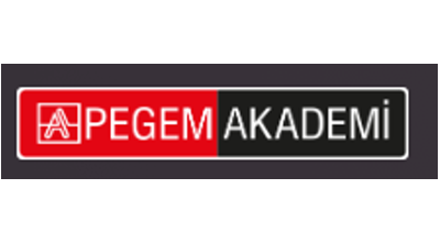 Pegem Akademi Logo