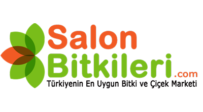 Salonbitkileri.com Logo